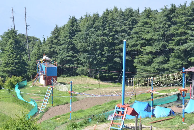 Playing Area