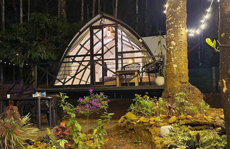 THE COZY COTTAGE WAYANAD